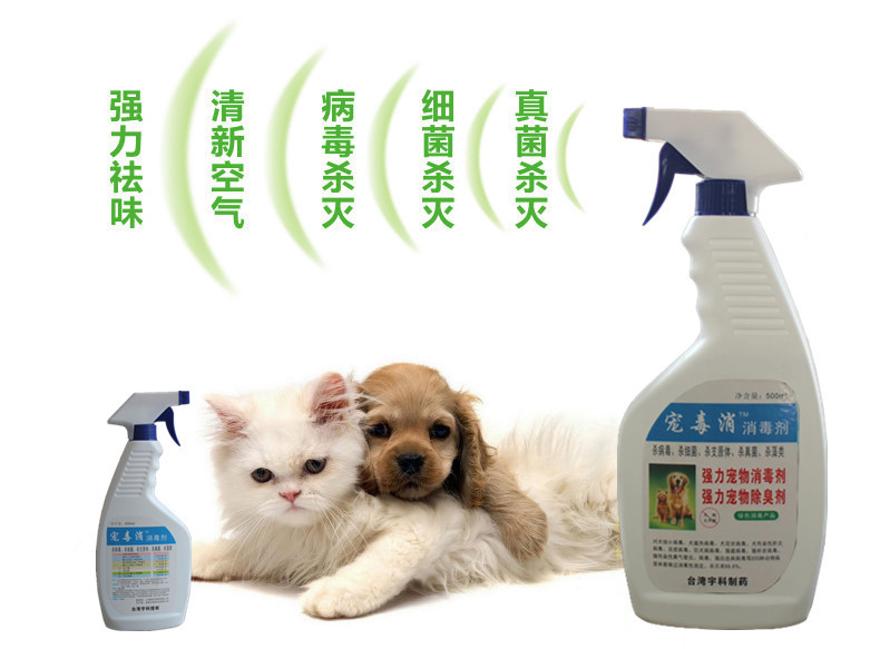 寵毒消 專業寵物消毒解決方案，守護愛寵健康環境