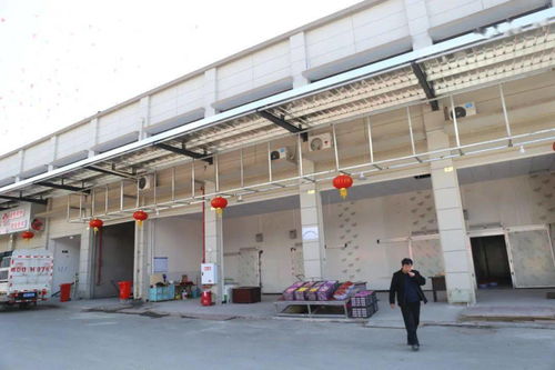 華南農(nóng)產(chǎn)品批發(fā)市場春節(jié)銷售創(chuàng)佳績，金屬及金屬礦批發(fā)業(yè)務(wù)亮點(diǎn)頻現(xiàn)